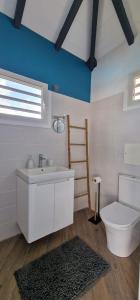 DucosLa villa Tina的浴室配有白色水槽和卫生间。