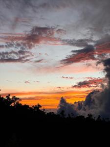 CopeyMario's Lodge Providencia的一片云朵和树木的日落