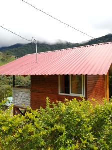 CopeyMario's Lodge Providencia的一间红色金属屋顶的小房子