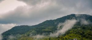奈尼塔尔The Janvi Camping Resort的被雾和云覆盖的山