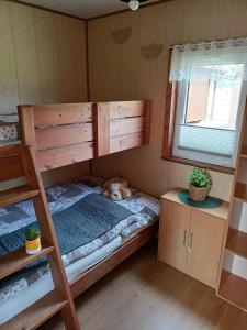 乌斯特卡Domki WIKA 2的一间卧室设有两张双层床,床上放着一只狗。