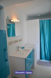 圣特罗让莱班Villa des 4 saisons的浴室设有水槽和蓝色的浴帘