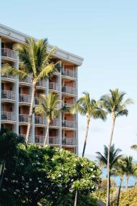维雷亚大韦利亚华尔道夫度假酒店的棕榈树海滩上的酒店