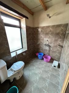 斯潘格米克Mystic Pangong的一间带卫生间和淋浴的浴室