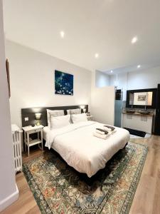 卡尔卡松SalutBB Chambre d'hote的卧室配有一张大白色的床和地毯
