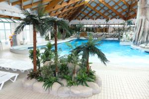 卡特兹奥布萨维Camp Terme Čatež的一座棕榈树游泳池