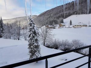 米茹Dvacances Résidence les tavaillons的阳台享有冬季景色,地面上积雪