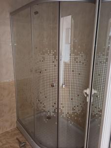 圣弗拉斯Magic Dreams Apartments的浴室里设有玻璃门淋浴