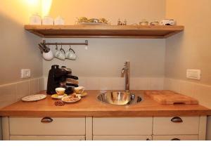 贝特莱切姆哈格利利特橡树之荫山林小屋的厨房柜台设有水槽和搅拌机