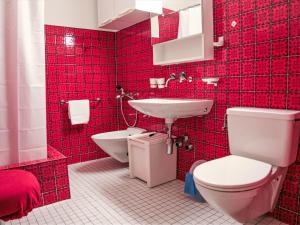 圣莫里茨圣莫里茨公寓的红色瓷砖浴室设有卫生间和水槽