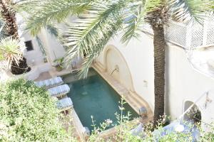 伊里德Dar Shams的享有游泳池的顶部景色,游泳池拥有棕榈树