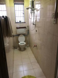 Mbalethe APARTMENT house的一间带卫生间和淋浴的小浴室