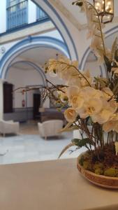 塞维利亚唐佩德罗宫酒店的花瓶,上面有白色的花朵