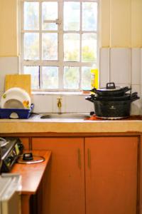 埃尔多雷特Cosy Homes Eldoret的带水槽的厨房台面和窗户