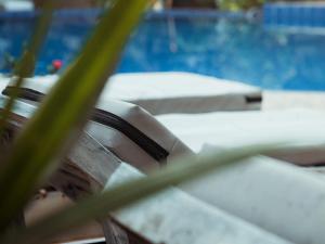 丹不拉Sundaras Resort & Spa Dambulla的游泳池旁植物的封闭