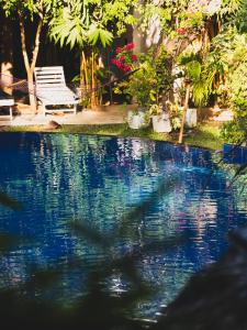 丹不拉Sundaras Resort & Spa Dambulla的长凳和植物的水池