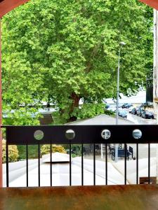 约阿尼纳Z Inn Ioannina的从窗口可欣赏到一棵大树的景色