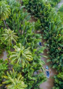 Ấp Phú Hòa (3)Hide Away Bungalows in Ben Tre City的享有丛林的空中景色,那里种有棕榈树和一艘船