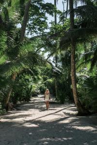 肖尔M&A滨江沙滩山林小屋的沿着棕榈树之间的小径走的女人