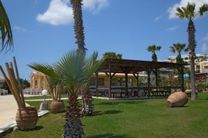 卡尔扎迈纳大蓝海滩酒店 的公园里的棕榈树,有凉亭