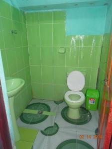 Comunidad YumaniHostal Inca Uma的绿色浴室设有卫生间和水槽