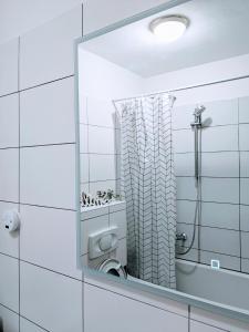 Velika MlakaDoMa-Lu apartment with free parking的浴室设有镜子、卫生间和淋浴