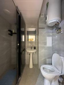 撒马尔罕Уютная квартира в центре города的一间带卫生间和水槽的浴室