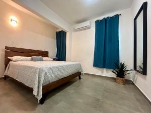多拉多Dorado Beach House的一间卧室配有一张带蓝色窗帘和植物的床