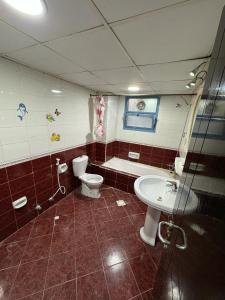 沙迦Al Majaz Partition & Rooms的一间带卫生间和水槽的浴室
