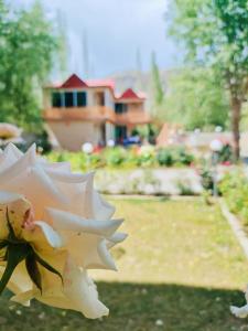 锡卡都Trout Villa的花园中的花,房子的背景