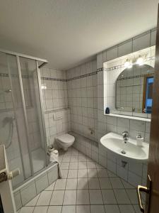 Orsingen-NenzingenGasthaus Hecht的带淋浴卫生间和盥洗盆的浴室