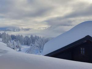 利德阿尔卑斯Apartment Jonathan Parterre by Interhome的积雪覆盖的山中