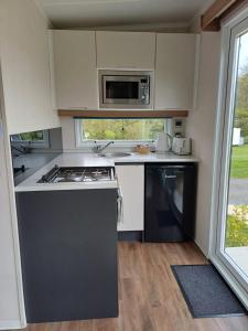 盖尔文Luxury Pods at Mornest Caravan Park, Anglesey的一间带炉灶和微波炉的小厨房