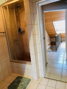 杜塞尔多夫HandwerkerZimmer的带淋浴的浴室和玻璃门