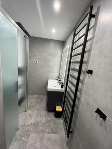 索内纳尔佩·纳斯费尔德Apartment Martin的一间带水槽和淋浴的浴室