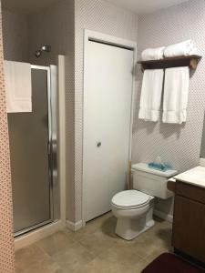 汉考克吉米尼山顶度假酒店的浴室设有卫生间和带毛巾的淋浴。