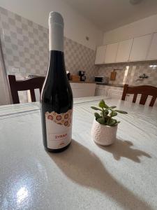 巴莱斯特拉泰丹尼尔度假屋的一瓶葡萄酒和一株植物坐在桌子上