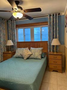 Love HillTreasures of Andros的一间卧室配有一张带吊扇和窗户的床。