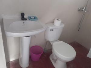 拉斯加勒拉斯Cabañas Raysa y Alejandro Pasion #3的浴室配有白色卫生间和盥洗盆。