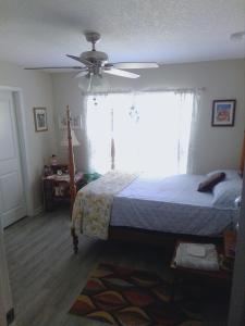 圣奥古斯丁DANA ESTATE's的一间卧室配有一张床和吊扇