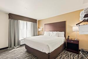 奇珀瓦福尔斯Riverstone Suites by Cobblestone Hotels - Chippewa Falls的一间设有大床和窗户的酒店客房