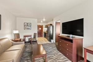 奇珀瓦福尔斯Riverstone Suites by Cobblestone Hotels - Chippewa Falls的带沙发和平面电视的客厅