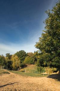 ChampsacDomaine Abbey-Rose的田野旁的土路上的树