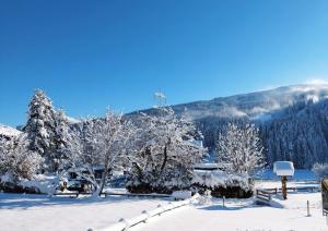 瓦格赖恩Landhaus Maurer的一座有树木和山的雪覆盖的院子