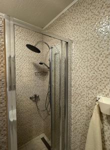 普拉伊德Constantin Panzió的浴室里设有玻璃门淋浴
