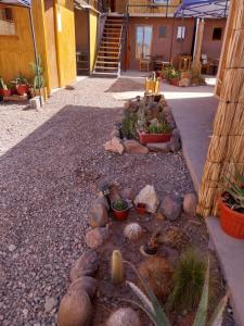 圣佩德罗·德·阿塔卡马Casa Ñawi的庭院里种有岩石和植物的花园