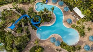 博尼塔斯普林斯Hyatt Regency Coconut Point Resort & Spa Near Naples的享有度假村游泳池的顶部景致
