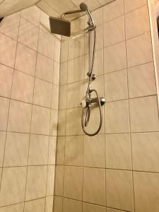 布伦瑞克Penthouse的浴室内配有淋浴和头顶淋浴