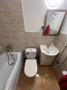 巴克乌Garsoniera Panoramic的浴室配有白色卫生间和盥洗盆。
