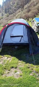 达兰萨拉Hills View Cafe & Camping的坐在草地上的帐篷
